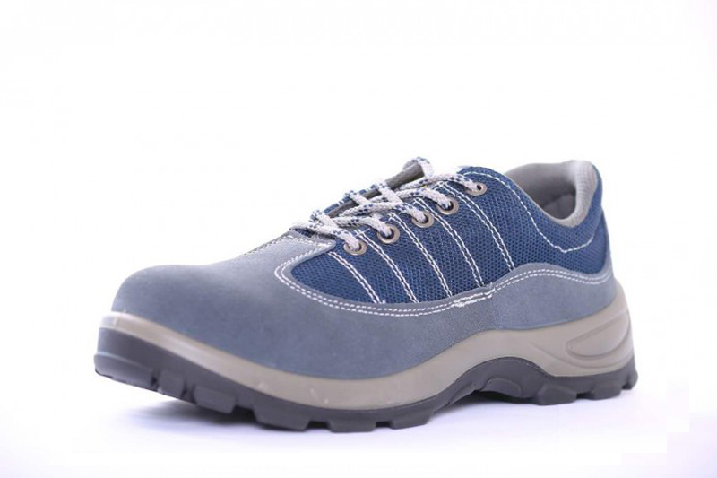 SZ6629